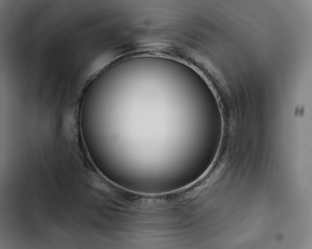 X0000103321354200809051137