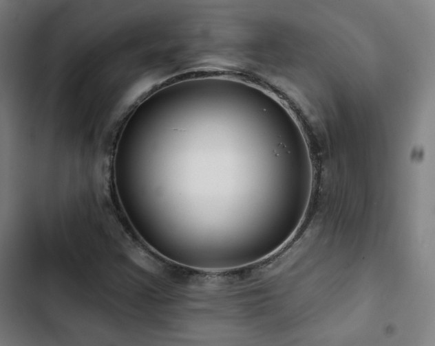 X0000103321355200809051137