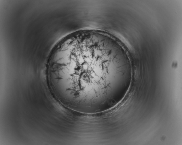 X0000103321356200809051137