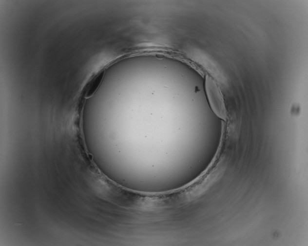 X0000103321357200809051137