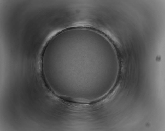 X0000103321358200809051137