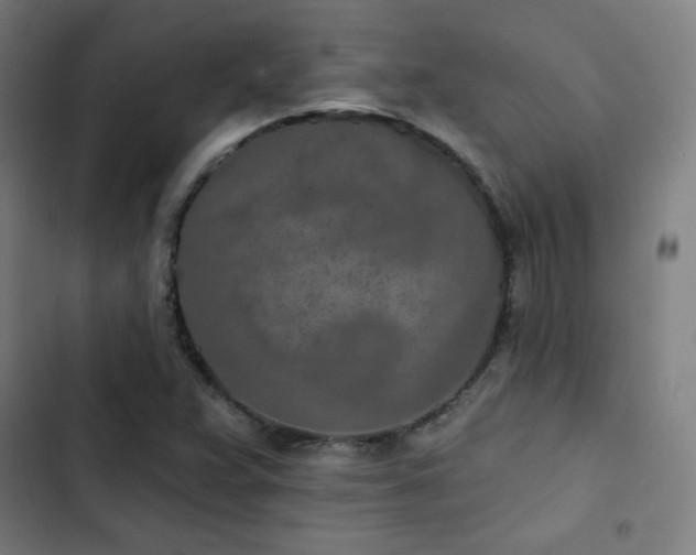 X0000103321359200809051137