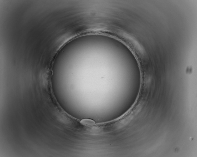 X0000103321361200809051137