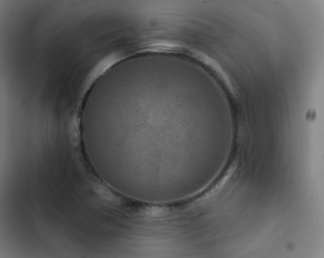 X0000103321362200809051137