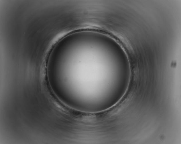 X0000103321363200809051137