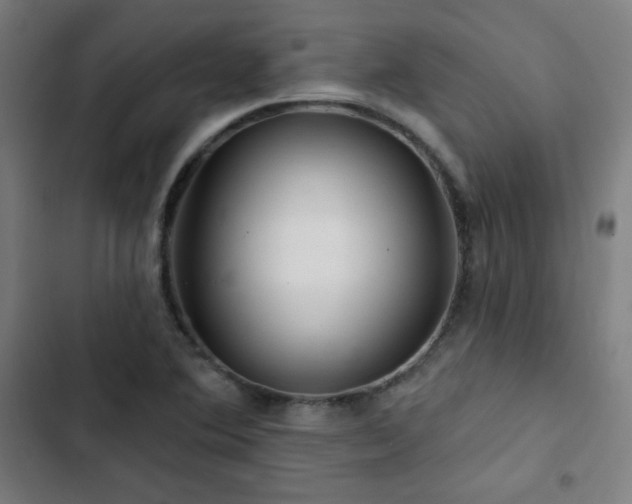 X0000103321364200809051137