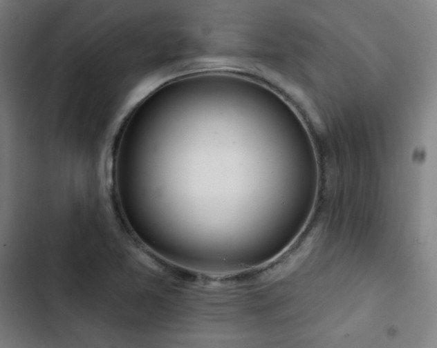 X0000103321365200809051137