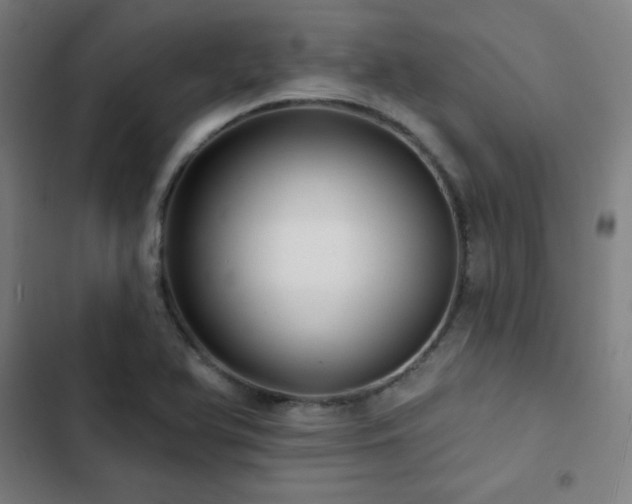 X0000103321366200809051137
