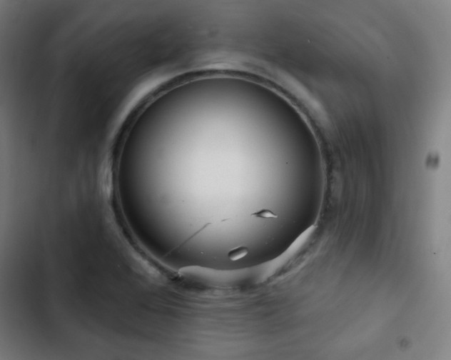 X0000103321368200809051137