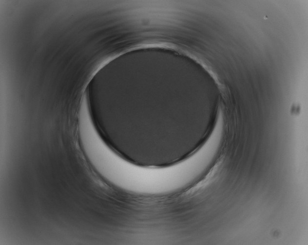 X0000103321369200809051137