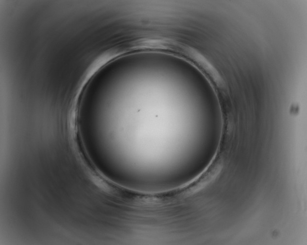 X0000103321370200809051137
