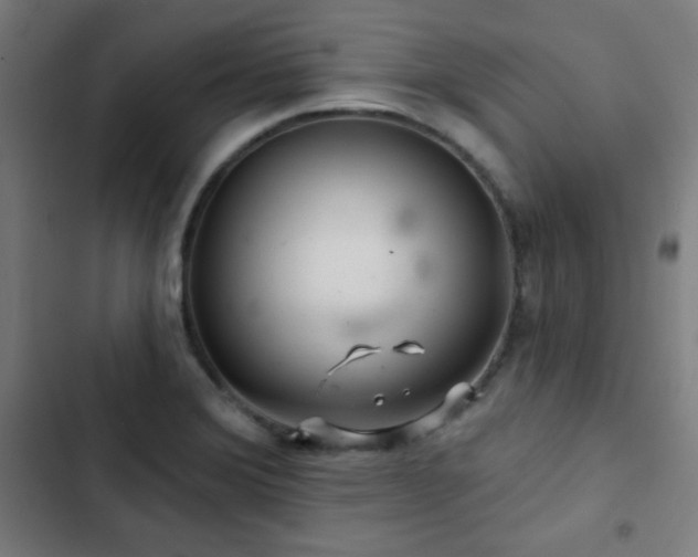 X0000103321372200809051137