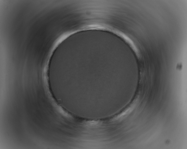 X0000103321373200809051137