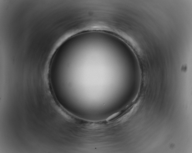X0000103321374200809051137
