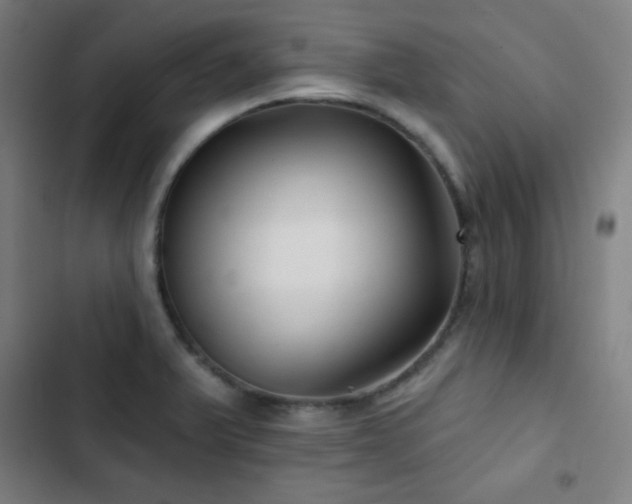 X0000103321375200809051137