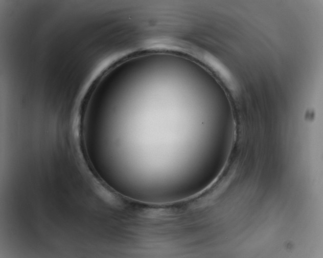 X0000103321376200809051137