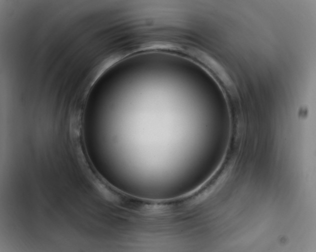 X0000103321377200809051137