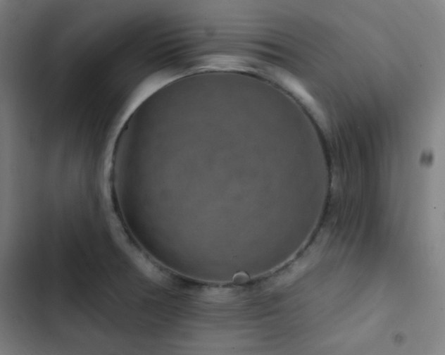 X0000103321378200809051137