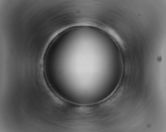 X0000103321380200809051137