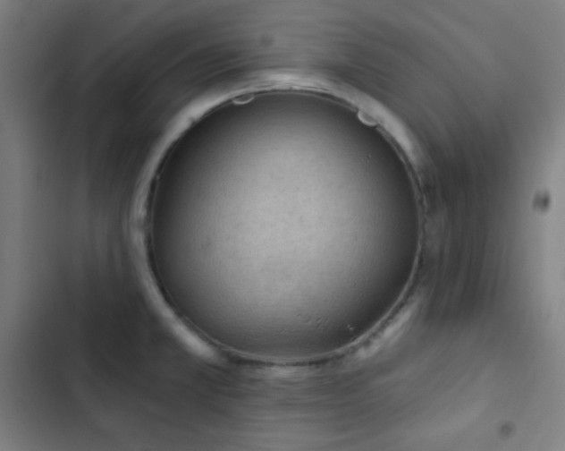 X0000103321381200809051137
