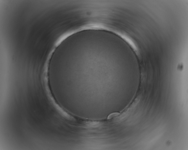 X0000103321382200809051137
