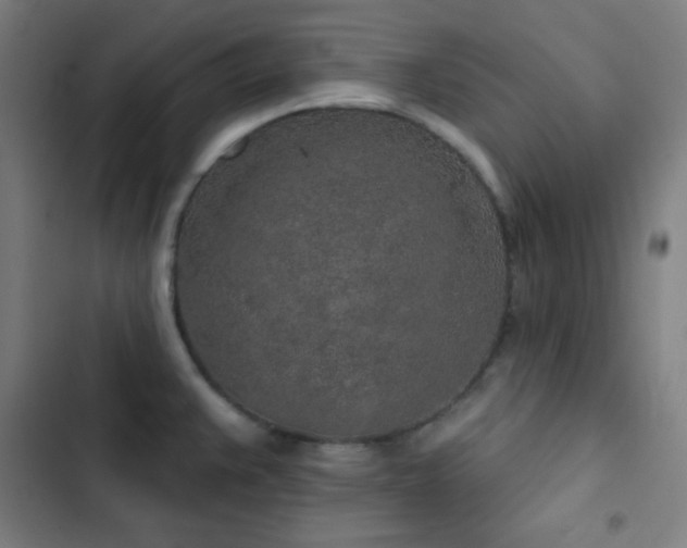 X0000103321383200809051137