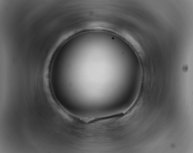 X0000103321384200809051137