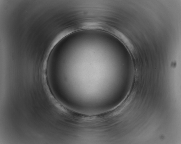 X0000103321386200809051137