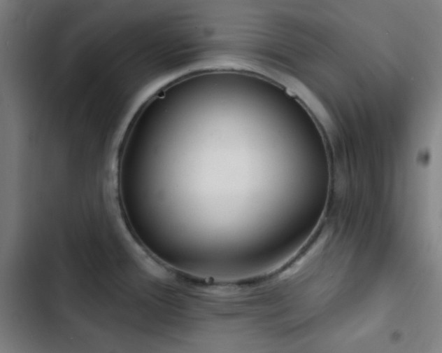 X0000103321388200809051136