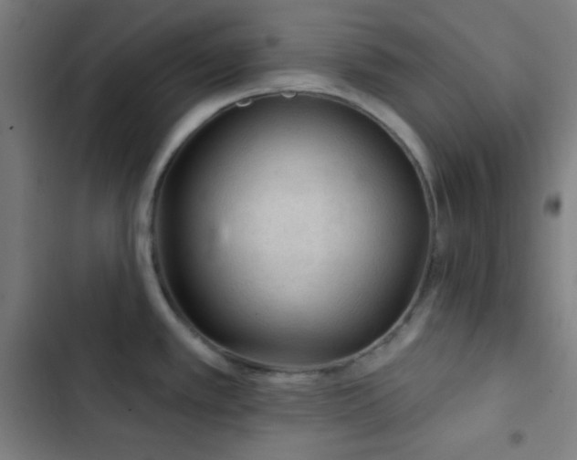 X0000103321389200809051136