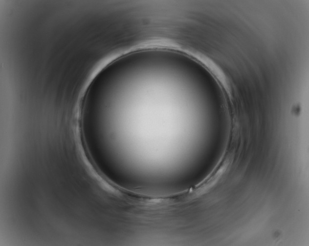 X0000103321390200809051136