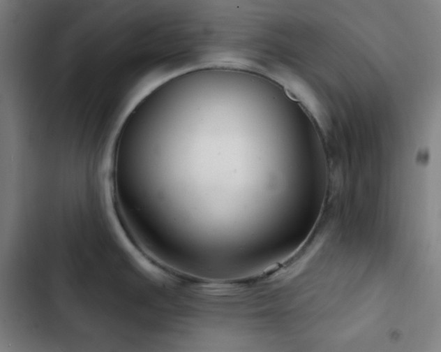X0000103321391200809051136