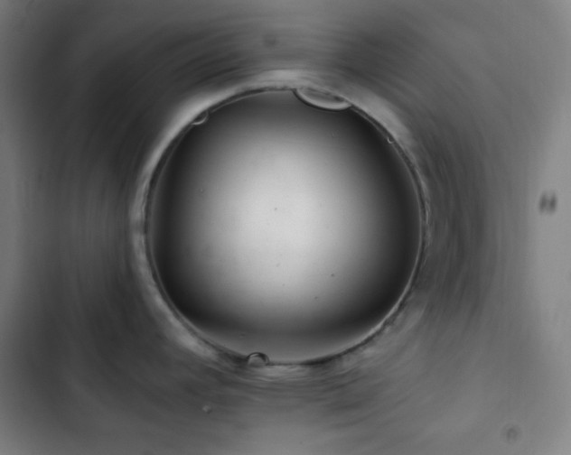 X0000103321392200809051136