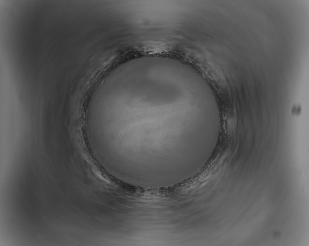X0000103321393200809051136