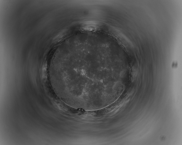 X0000103321394200809051136