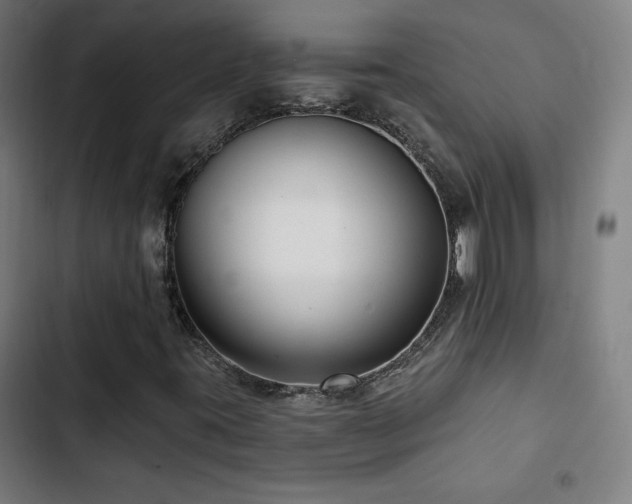 X0000103321395200809051136