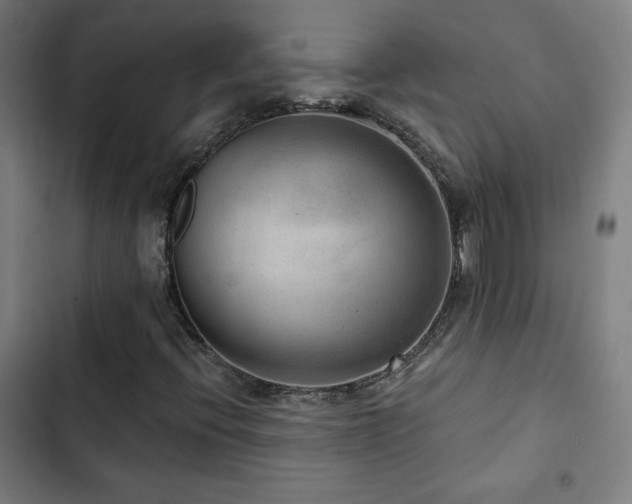 X0000103321396200809051136