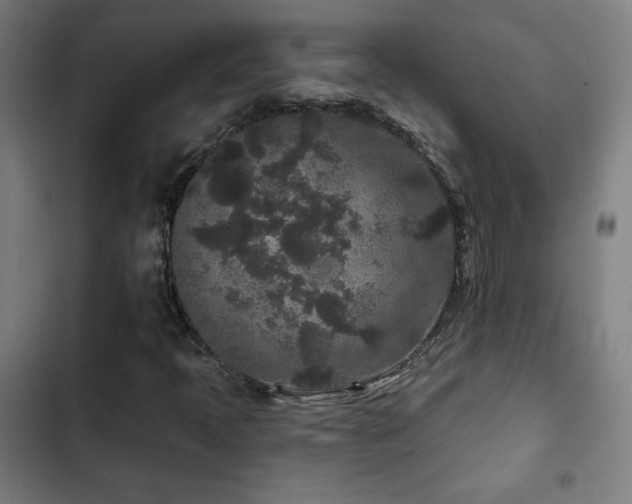 X0000103321397200809051136