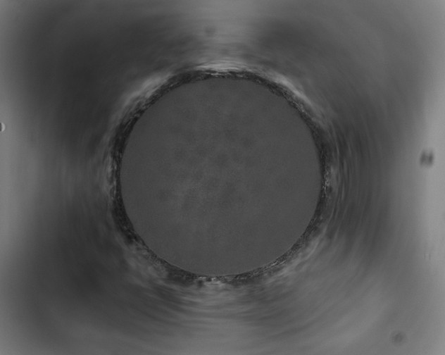 X0000103321398200809051136