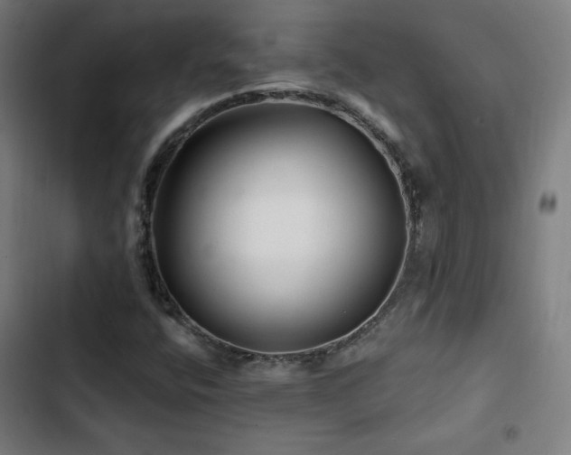 X0000103321400200809051136