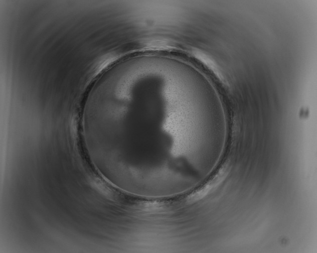 X0000103321401200809051136