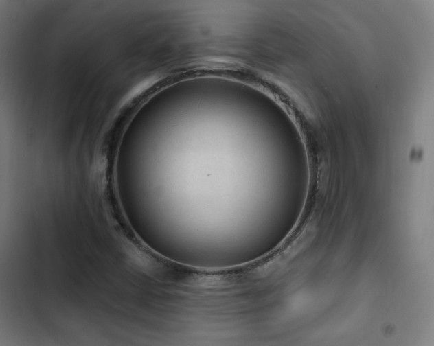 X0000103321402200809051136