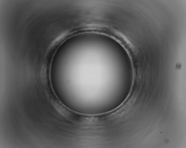 X0000103321403200809051136