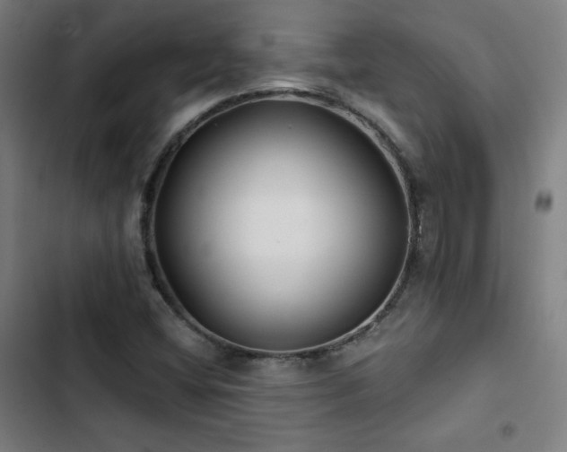X0000103321404200809051136