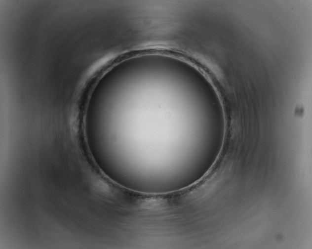 X0000103321406200809051136