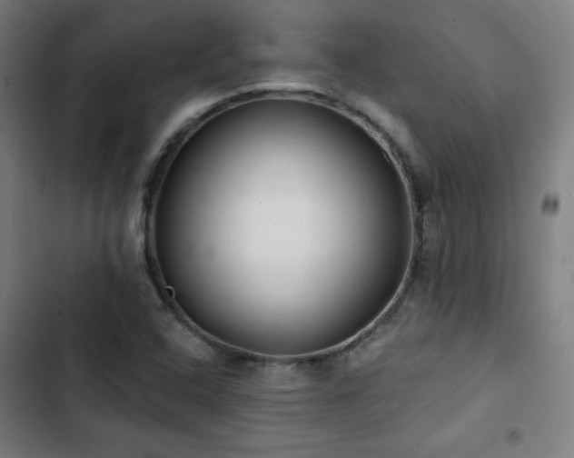 X0000103321408200809051136