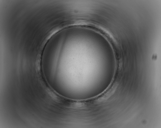 X0000103321409200809051136
