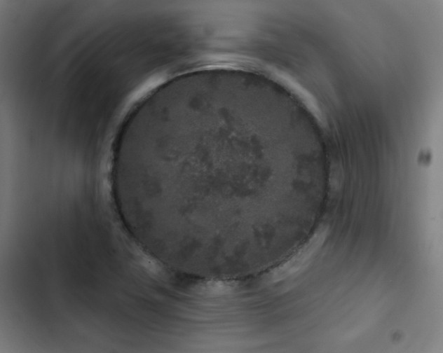 X0000103321411200809051136
