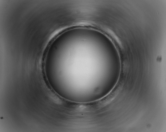 X0000103321412200809051136