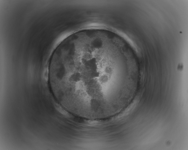 X0000103321413200809051136